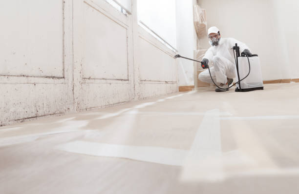 24/7 Emergency Mold Remediation experts in Rockford, MI
